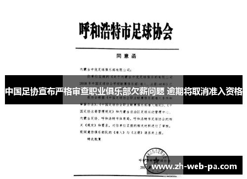 中国足协宣布严格审查职业俱乐部欠薪问题 逾期将取消准入资格 中国足协宣布严格审查职业俱乐部欠薪问题 逾期将取消准入资格